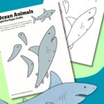 Moveable shark craft.