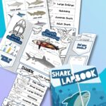 Shark lapbook.