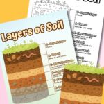 Layers of soil printable diagram.