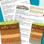 Layers of soil fact sheet printable.