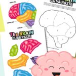Brain cut and paste activity worksheet.
