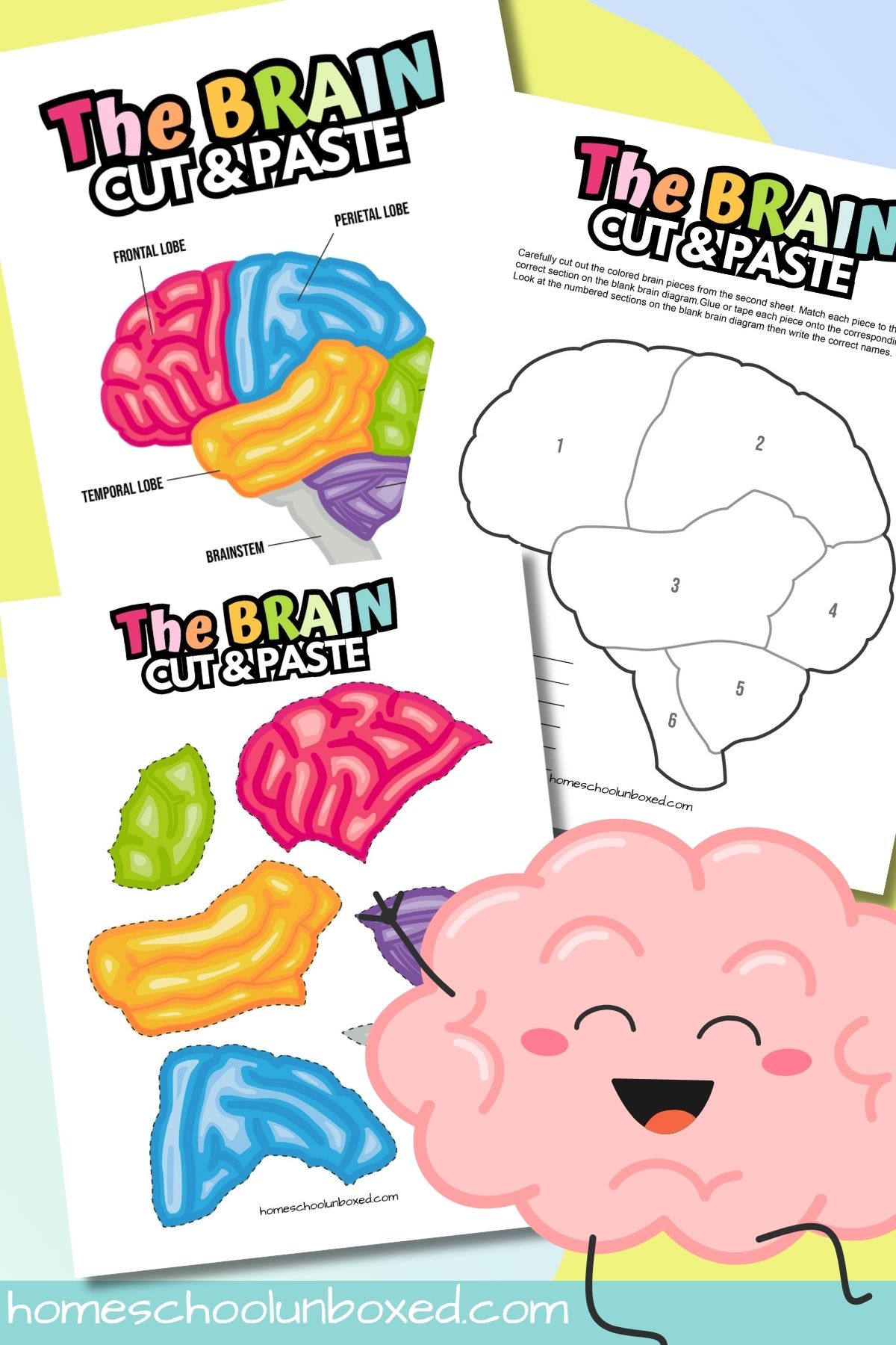 Brain cut and paste activity worksheet.