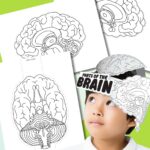 Printable brain hat.