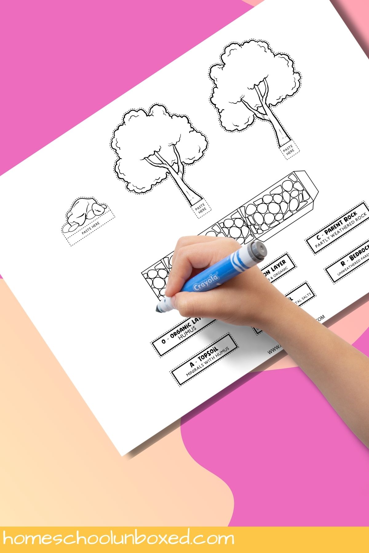 Soil layers diorama printable.