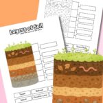 Soil layers labeling worksheet.