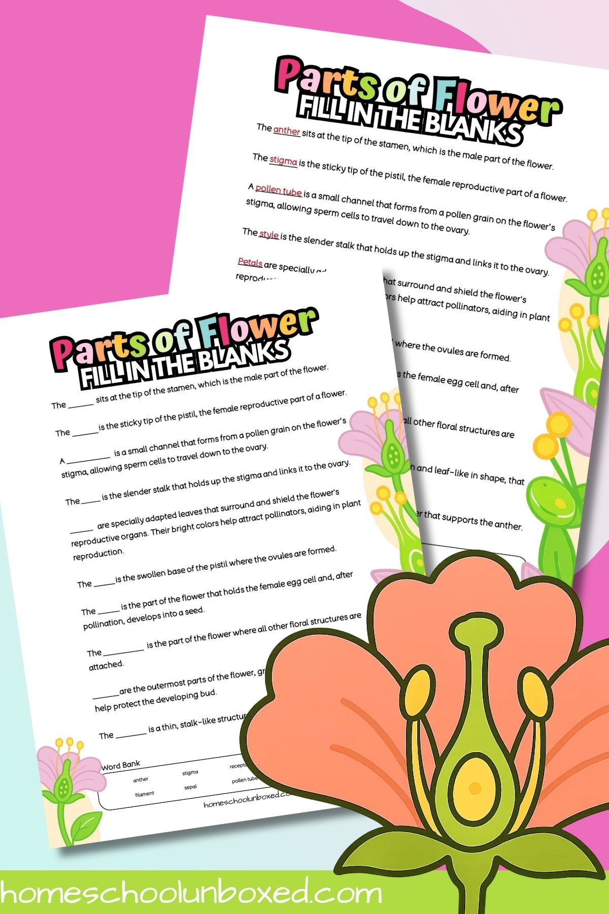 Parts of a flower fill in the blank vocabulary activity.