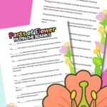 Parts of a flower fill in the blank worksheet.