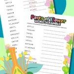 Pars of a flower word scramble.